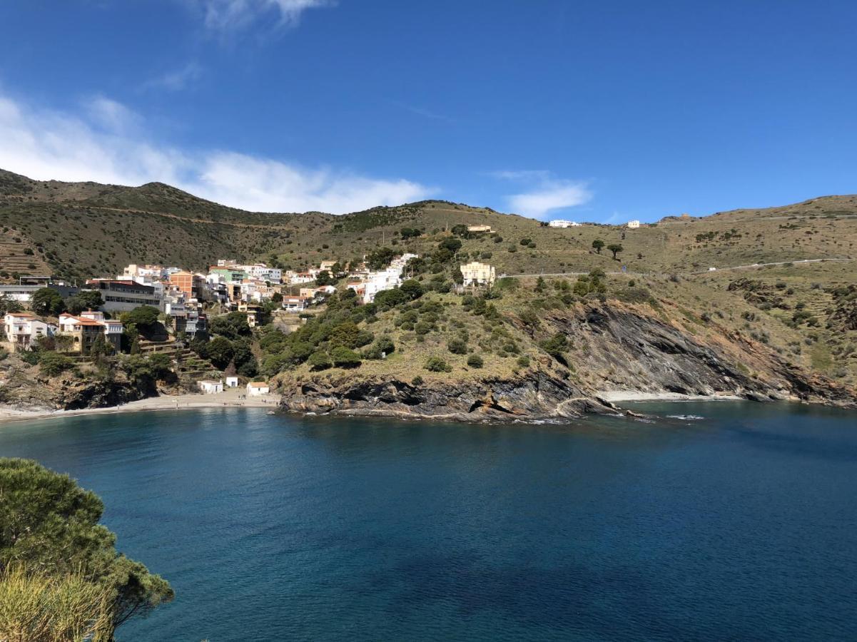 Piso En La Costa Brava Y Al Inicio Del Pirineo Apartment Portbou Bagian luar foto