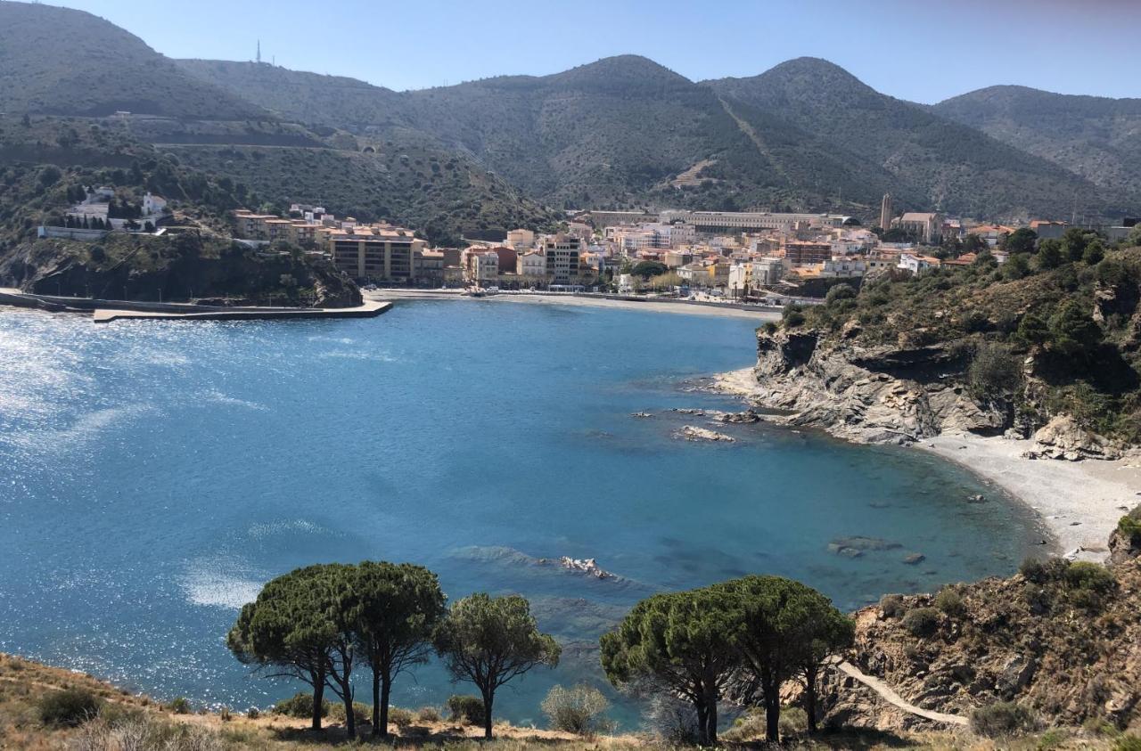 Piso En La Costa Brava Y Al Inicio Del Pirineo Apartment Portbou Bagian luar foto