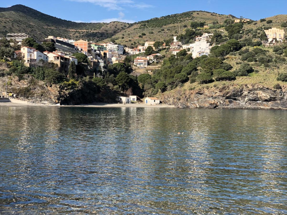 Piso En La Costa Brava Y Al Inicio Del Pirineo Apartment Portbou Bagian luar foto